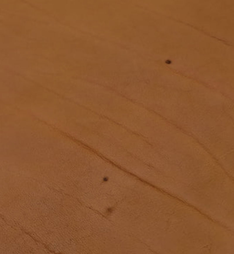 虫刺され